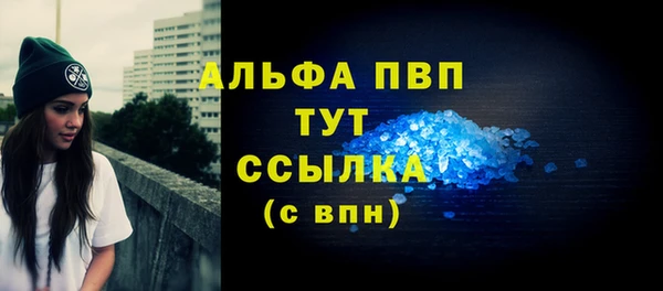 PSILOCYBIN Ладушкин