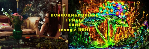 первитин Богданович