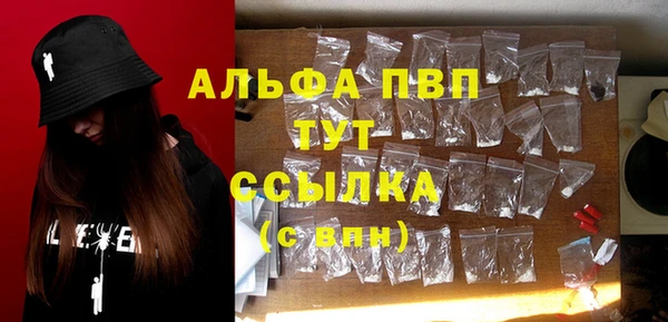 PSILOCYBIN Ладушкин