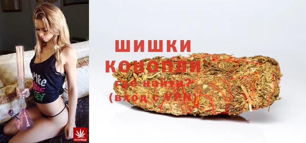 PSILOCYBIN Ладушкин