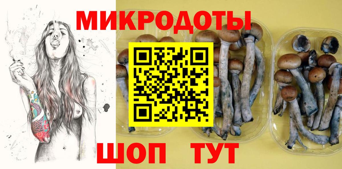 Галлюциногенные грибы Psilocybe Донецк