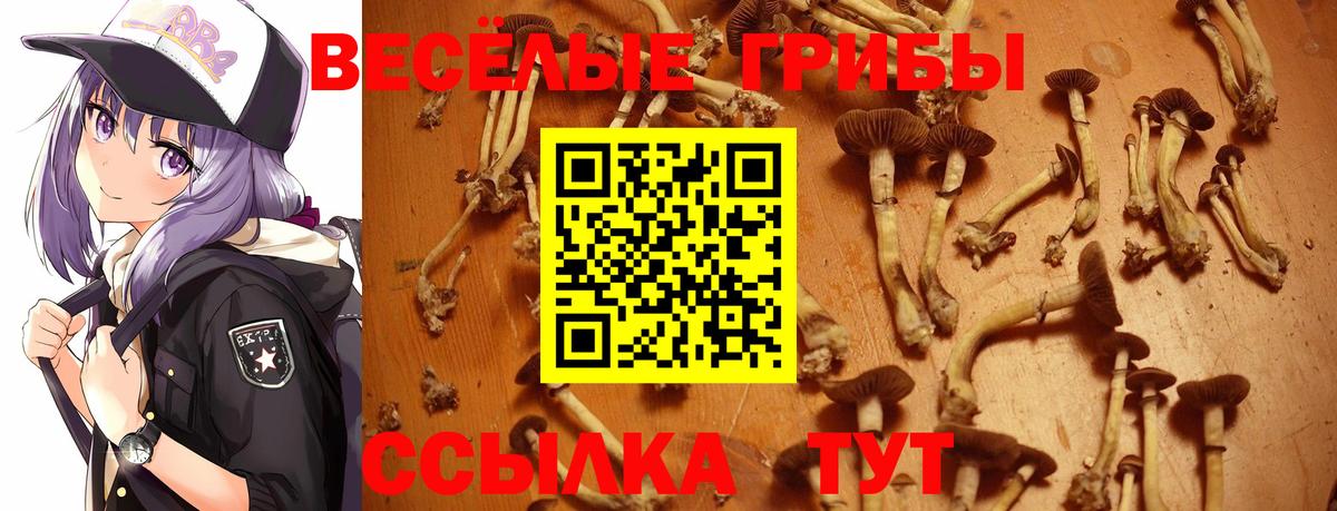 Галлюциногенные грибы прущие грибы  Донецк 