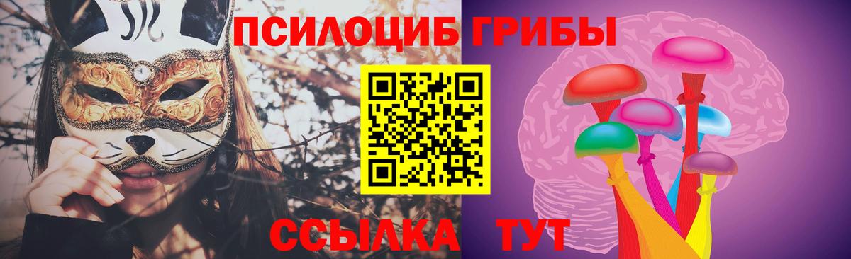 Галлюциногенные грибы Psilocybe  Галлюциногенные грибы мухоморы  Донецк  Вход с VPN 